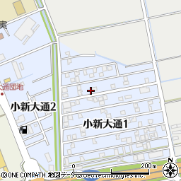 新潟県新潟市西区小新大通1丁目5-22周辺の地図