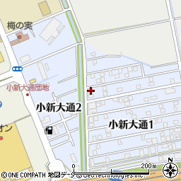 新潟県新潟市西区小新大通1丁目5-32周辺の地図