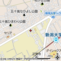 新潟県新潟市西区大学南1丁目6682-17周辺の地図