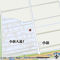 新潟県新潟市西区小新大通1丁目6-59周辺の地図