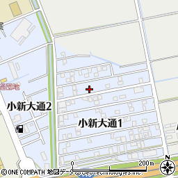 新潟県新潟市西区小新大通1丁目5-21周辺の地図