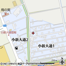 新潟県新潟市西区小新大通1丁目5-36周辺の地図