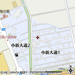 新潟県新潟市西区小新大通1丁目5-37周辺の地図