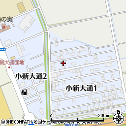 新潟県新潟市西区小新大通1丁目5-38周辺の地図