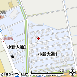 新潟県新潟市西区小新大通1丁目5-39周辺の地図