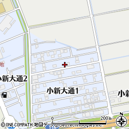 新潟県新潟市西区小新大通1丁目5-17周辺の地図