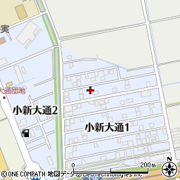 新潟県新潟市西区小新大通1丁目5-41周辺の地図