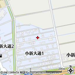 新潟県新潟市西区小新大通1丁目5-16周辺の地図