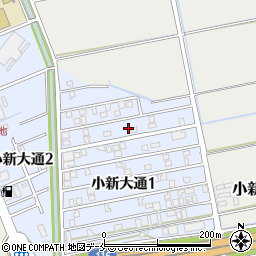 新潟県新潟市西区小新大通1丁目5周辺の地図