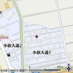 新潟県新潟市西区小新大通1丁目5-43周辺の地図