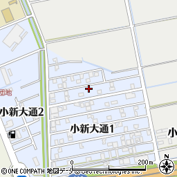 新潟県新潟市西区小新大通1丁目5-46周辺の地図