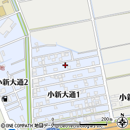 新潟県新潟市西区小新大通1丁目5-47周辺の地図