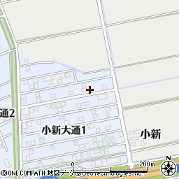 新潟県新潟市西区小新大通1丁目5-12周辺の地図