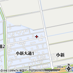 新潟県新潟市西区小新大通1丁目5-11周辺の地図