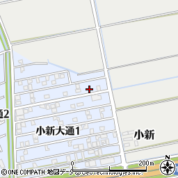 新潟県新潟市西区小新大通1丁目5-10周辺の地図