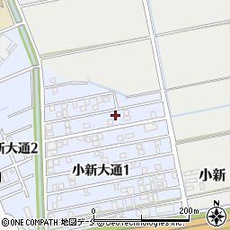 新潟県新潟市西区小新大通1丁目5-49周辺の地図