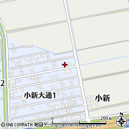 新潟県新潟市西区小新大通1丁目5-9周辺の地図