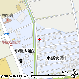 新潟県新潟市西区小新大通1丁目3-17周辺の地図