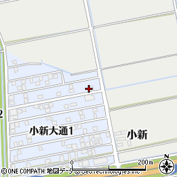 新潟県新潟市西区小新大通1丁目5-8周辺の地図
