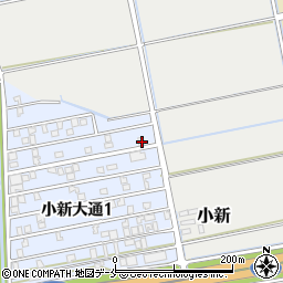 新潟県新潟市西区小新大通1丁目5-3周辺の地図