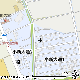 新潟県新潟市西区小新大通1丁目3-16周辺の地図
