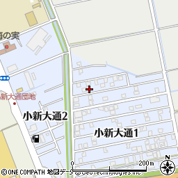 新潟県新潟市西区小新大通1丁目3-15周辺の地図
