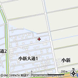 新潟県新潟市西区小新大通1丁目5-53周辺の地図