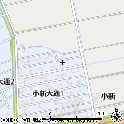 新潟県新潟市西区小新大通1丁目5-52周辺の地図