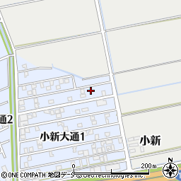 新潟県新潟市西区小新大通1丁目5-54周辺の地図