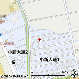 新潟県新潟市西区小新大通1丁目3-13周辺の地図
