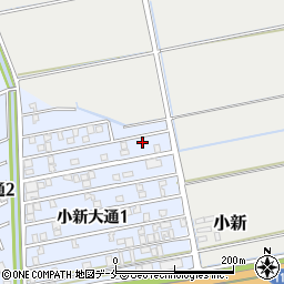 新潟県新潟市西区小新大通1丁目5-55周辺の地図