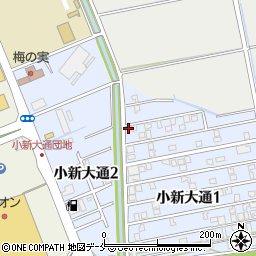 新潟県新潟市西区小新大通1丁目3-22周辺の地図