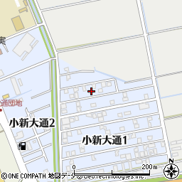 新潟県新潟市西区小新大通1丁目3-11周辺の地図
