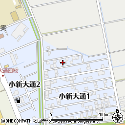 新潟県新潟市西区小新大通1丁目3周辺の地図