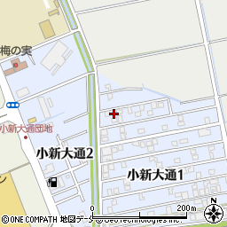 新潟県新潟市西区小新大通1丁目3-25周辺の地図