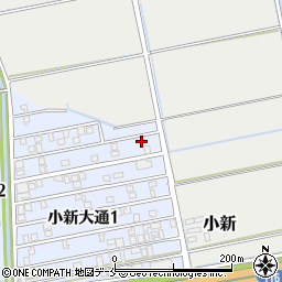 新潟県新潟市西区小新大通1丁目5-56周辺の地図