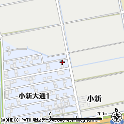 新潟県新潟市西区小新大通1丁目5-57周辺の地図
