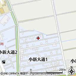 新潟県新潟市西区小新大通1丁目3-7周辺の地図