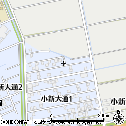新潟県新潟市西区小新大通1丁目3-5周辺の地図
