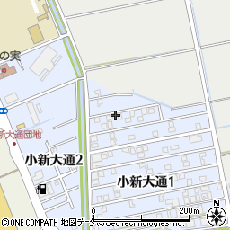 新潟県新潟市西区小新大通1丁目3-28周辺の地図