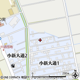 新潟県新潟市西区小新大通1丁目3-30周辺の地図