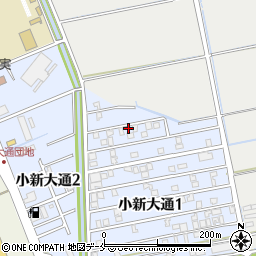新潟県新潟市西区小新大通1丁目3-31周辺の地図