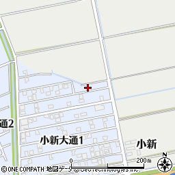 新潟県新潟市西区小新大通1丁目4-17周辺の地図
