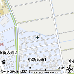 新潟県新潟市西区小新大通1丁目3-34周辺の地図
