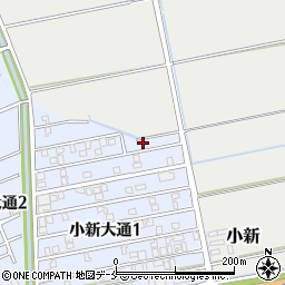 新潟県新潟市西区小新大通1丁目4-18周辺の地図