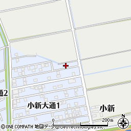 新潟県新潟市西区小新大通1丁目4周辺の地図