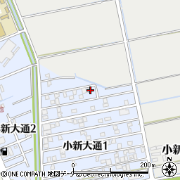 新潟県新潟市西区小新大通1丁目3-35周辺の地図