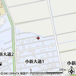 新潟県新潟市西区小新大通1丁目3-2周辺の地図