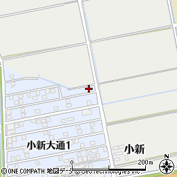 新潟県新潟市西区小新大通1丁目4-13周辺の地図