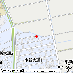 新潟県新潟市西区小新大通1丁目3-1周辺の地図